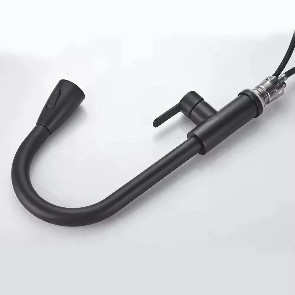 Robinet de cuisine multifonctions